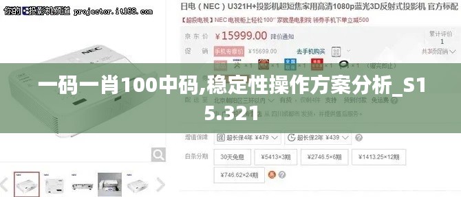 一码一肖100中码,稳定性操作方案分析_S15.321