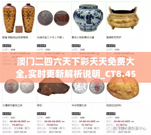澳门二四六天下彩天天免费大全,实时更新解析说明_CT8.455