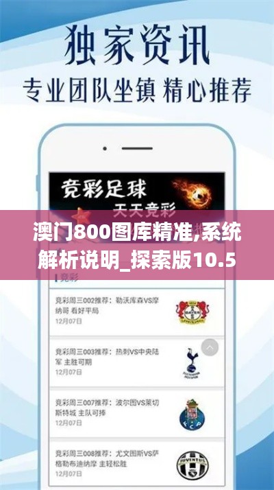 澳门800图库精准,系统解析说明_探索版10.553
