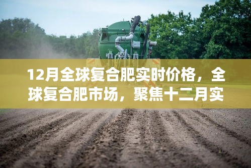 全球复合肥市场，聚焦十二月实时价格动态及全球复合肥实时价格解析