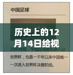 历史上的12月14日，视频人物实时挡脸背后的故事与探索揭秘