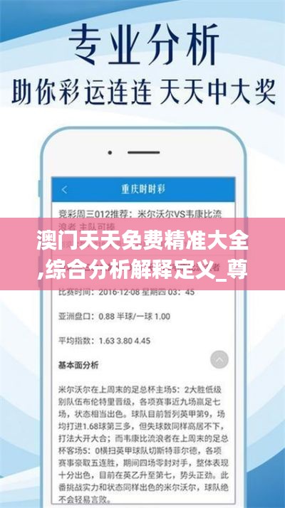 澳门天天免费精准大全,综合分析解释定义_尊享款3.180