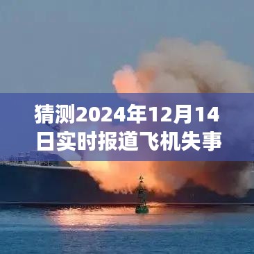 2024年飞机失事预测案例分析与展望，实时报道飞机失事案例探讨及未来趋势预测