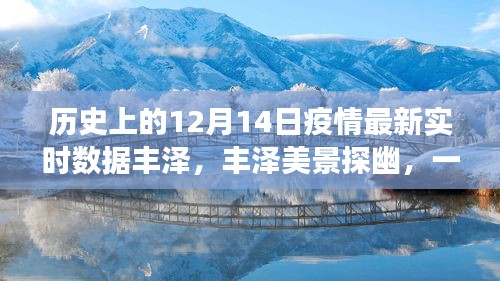 实时数据报告