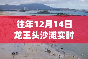 龙王头沙滩惊喜揭秘，特色小店与沙滩深处的秘密直播之夜