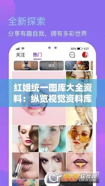 红姐统一图库大全资料：纵览视觉资料库中的创意与整合美学