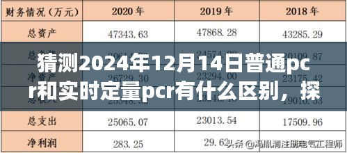 建议，探秘小巷深处的特色小店，普通PCR与实时定量PCR的奥秘差异之旅（预测至2024年）