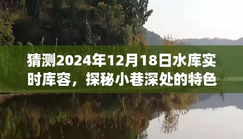 探秘小巷特色小店与预测水库实时库容的奇妙之旅，2024年水库库容展望及小巷深处小店的探秘之旅