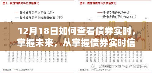 投影仪 第241页
