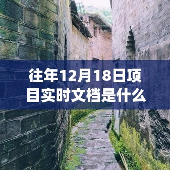 小巷深处的隐藏宝藏