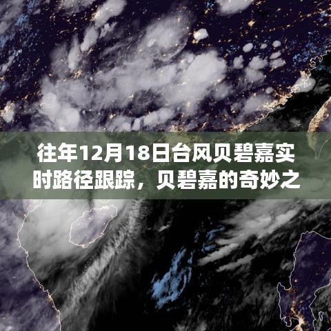 奇妙之旅