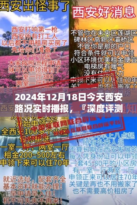 竞品对比与用户分析