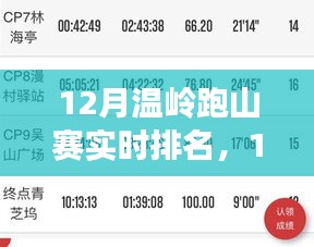 全面测评