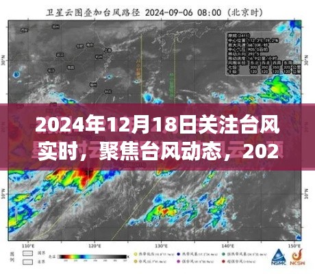 聚焦台风动态，实时关注台风进展，洞察未来影响