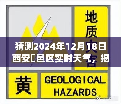 投影仪 第229页