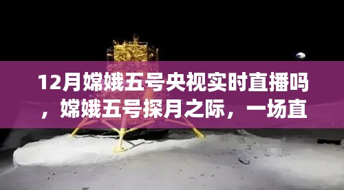 投影仪 第228页