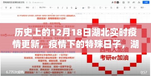湖北疫情纪实，历史上的特殊日子，湖北实时疫情更新纪实（12月18日）