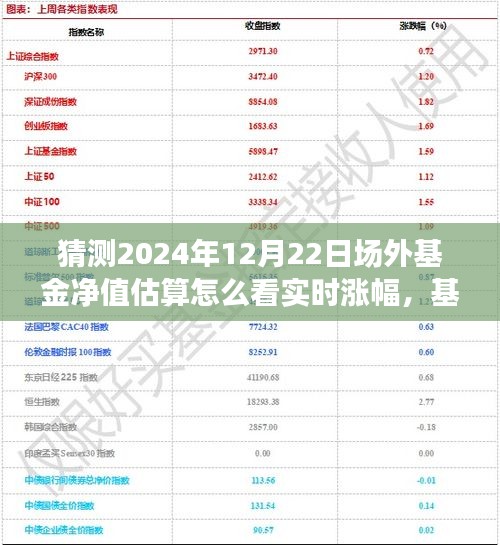 一家人的基金之旅，场外基金净值估算与未来畅想，实时涨幅探索与畅想于2024年12月22日