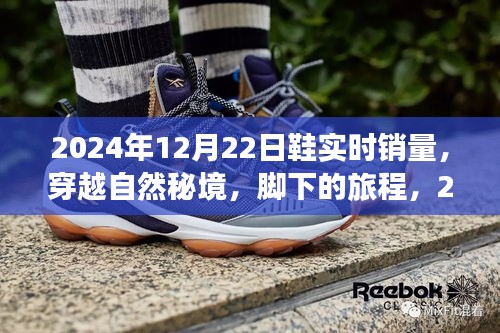 探秘2024年12月22日鞋类销量，穿越自然秘境的脚下旅程