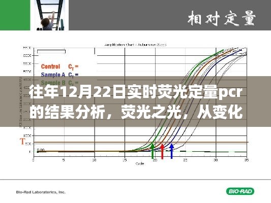 荧光之光，PCR结果分析与未来展望，塑造自信成就之路