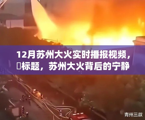 实时播报视频