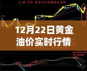 12月22日黄金油价实时行情解析，小巷油香与市场盛宴的双重探寻