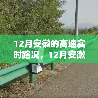 路况信息掌握