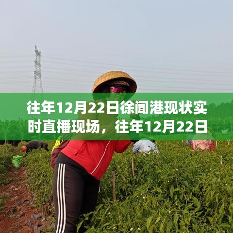 实时直播