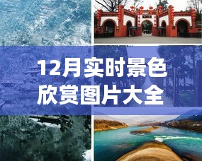 小巷深处的宝藏