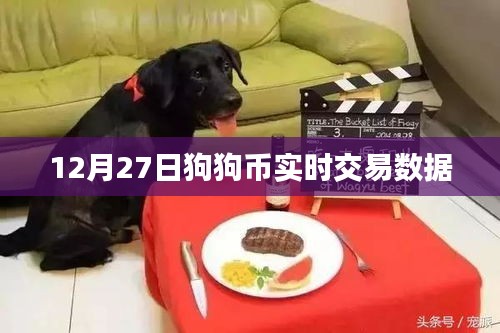 投影仪 第209页