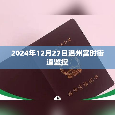 投影仪 第208页