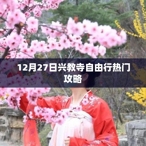 兴教寺自由行指南，热门攻略揭秘