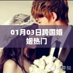 全球联姻新动态，跨国婚姻持续热门