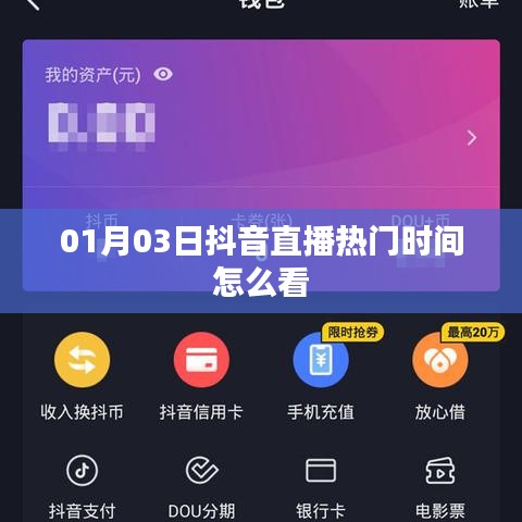 抖音直播热门时间查看指南，01月03日直播观察