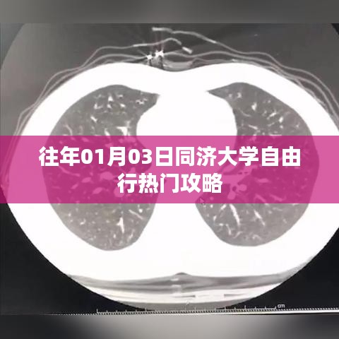 同济大学周边自由行攻略，玩转校园热门景点