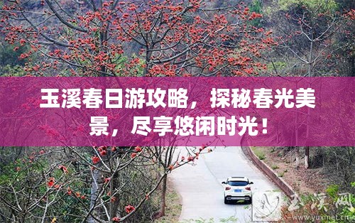 玉溪春日游攻略，探秘春光美景，尽享悠闲时光！