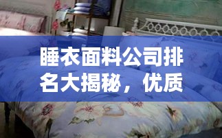 投影仪 第167页