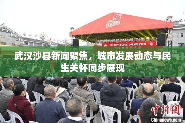 武汉沙县新闻聚焦，城市发展动态与民生关怀同步展现