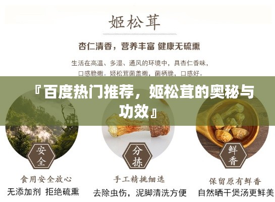 『百度热门推荐，姬松茸的奥秘与功效』