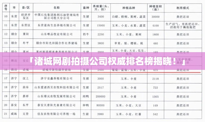 「诸城网剧拍摄公司权威排名榜揭晓！」