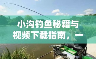 小沟钓鱼秘籍与视频下载指南，一网打尽最新钓鱼技巧