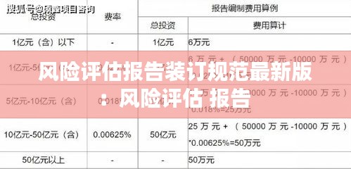 风险评估报告装订规范最新版：风险评估 报告 