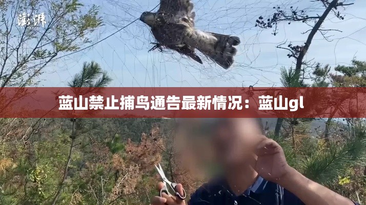 蓝山禁止捕鸟通告最新情况：蓝山gl 