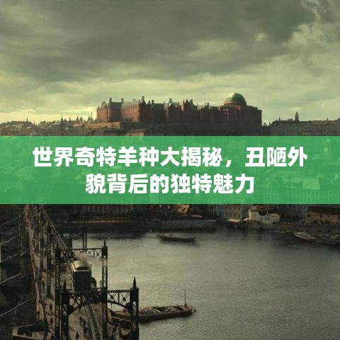 办公设备 第155页
