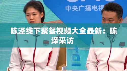 陈泽线下聚餐视频大全最新：陈泽采访 