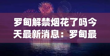 投影仪 第159页