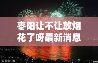 枣阳让不让放烟花了呀最新消息：枣阳市禁行区域图 