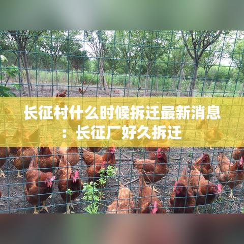 长征村什么时候拆迁最新消息：长征厂好久拆迁 