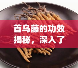 空谷幽兰 第2页