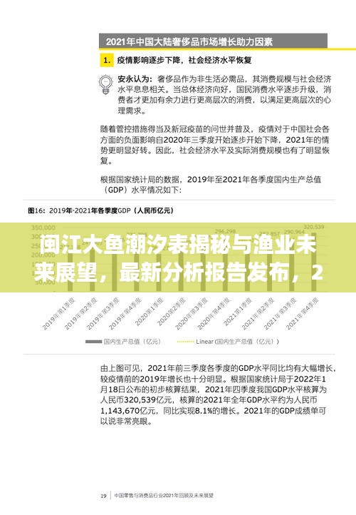 闽江大鱼潮汐表揭秘与渔业未来展望，最新分析报告发布，2024趋势解读